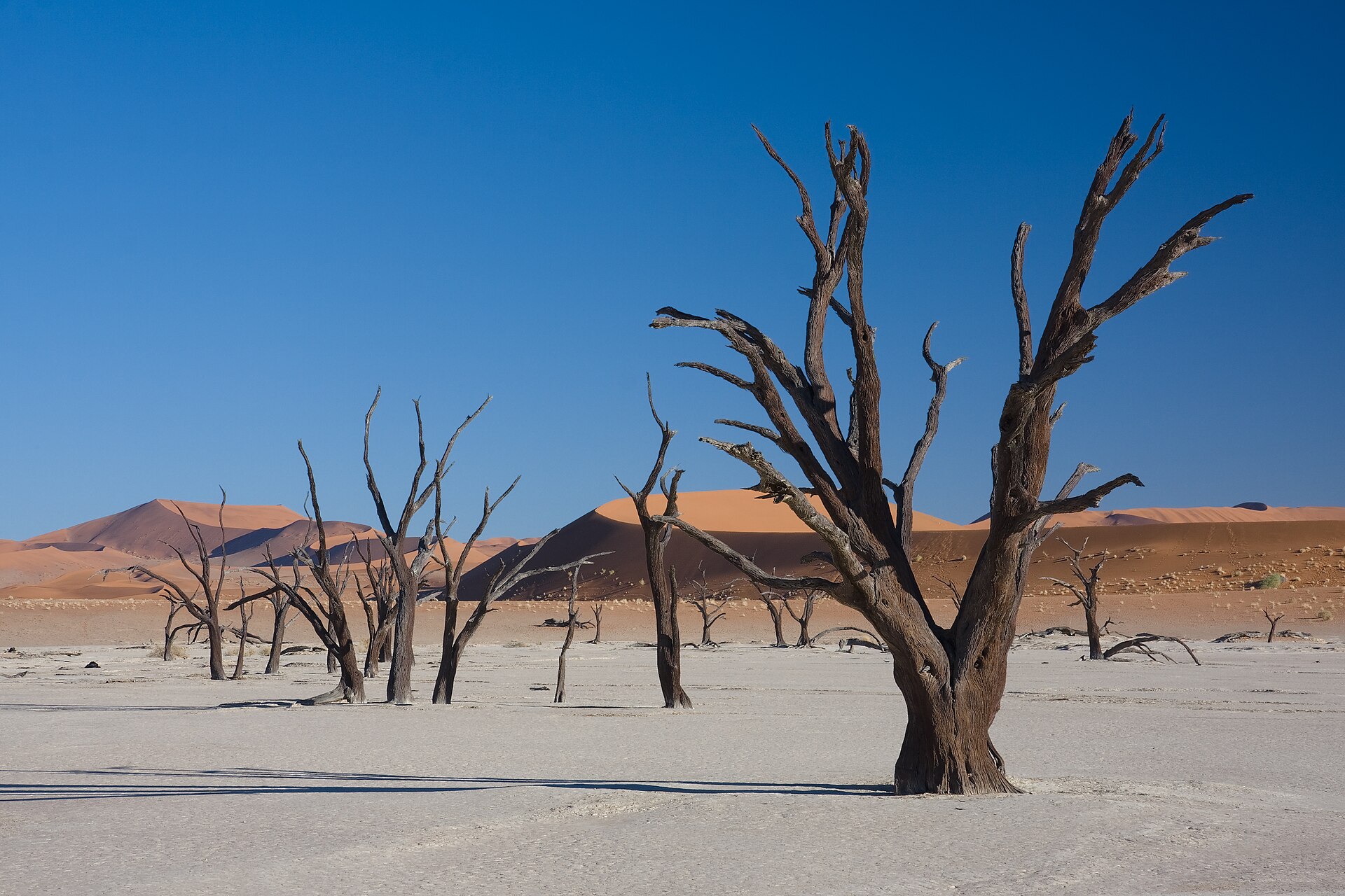 Sossusvlei: Red Dunes And The Namib Sand Sea cover photo