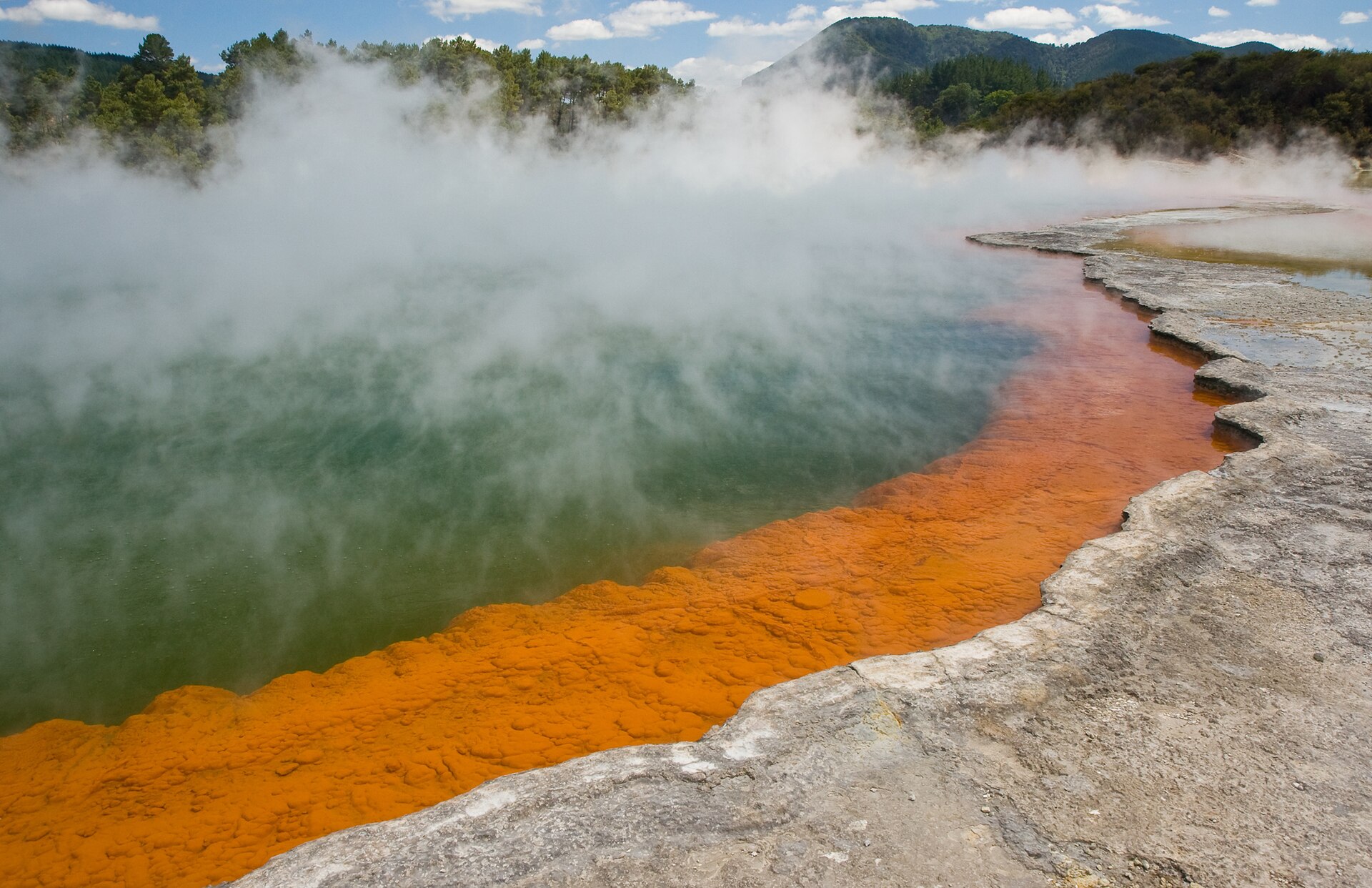 Rotorua Geothermal And Māori Culture Day cover photo