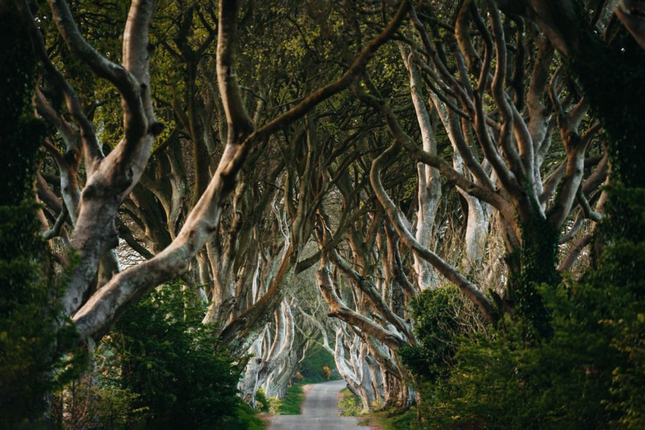 3 Days On The Antrim Coast: The Real Westeros, Antrim Coast, Northern Ireland