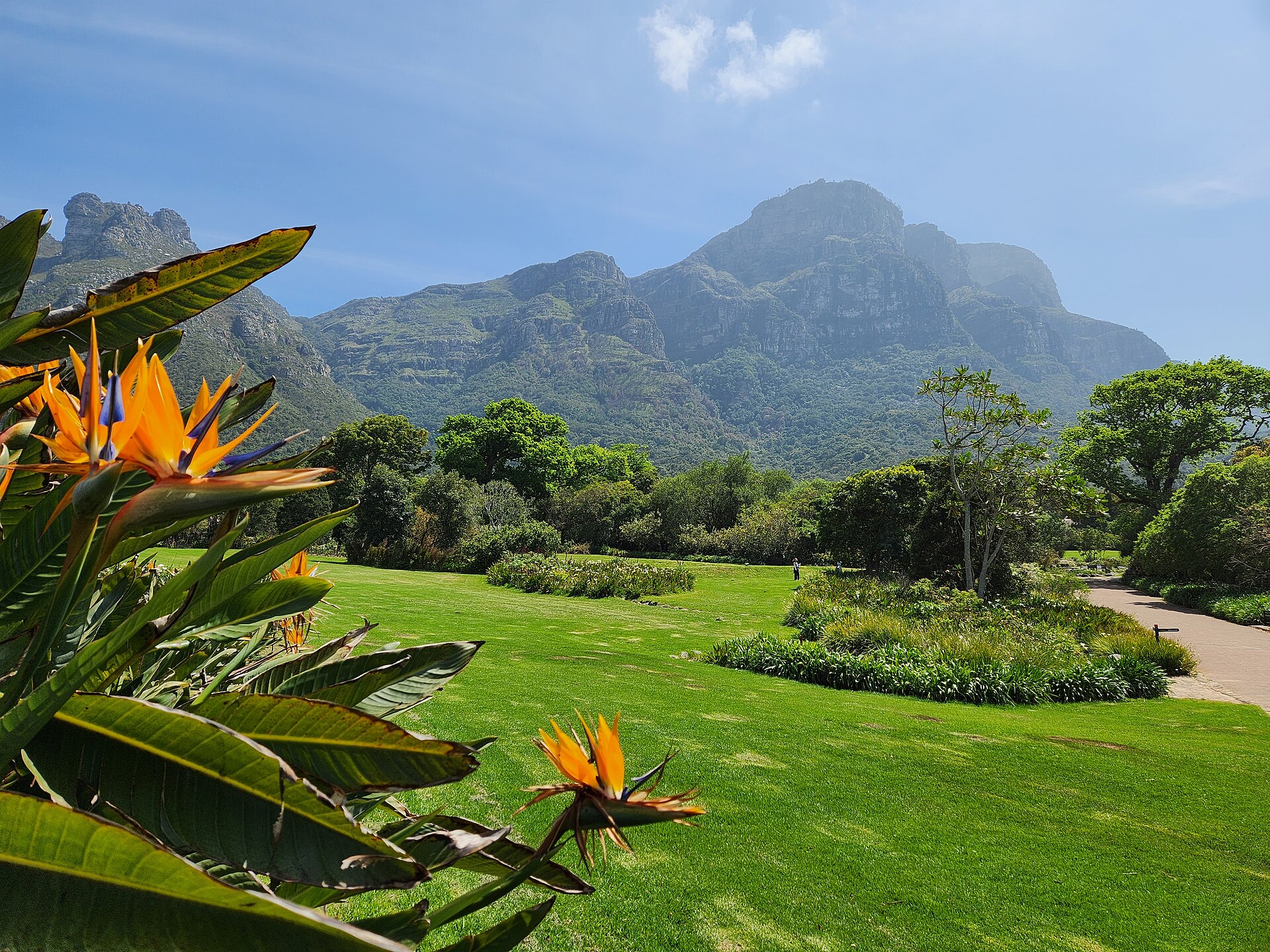 Lion's Head, Kirstenbosch And Camps Bay