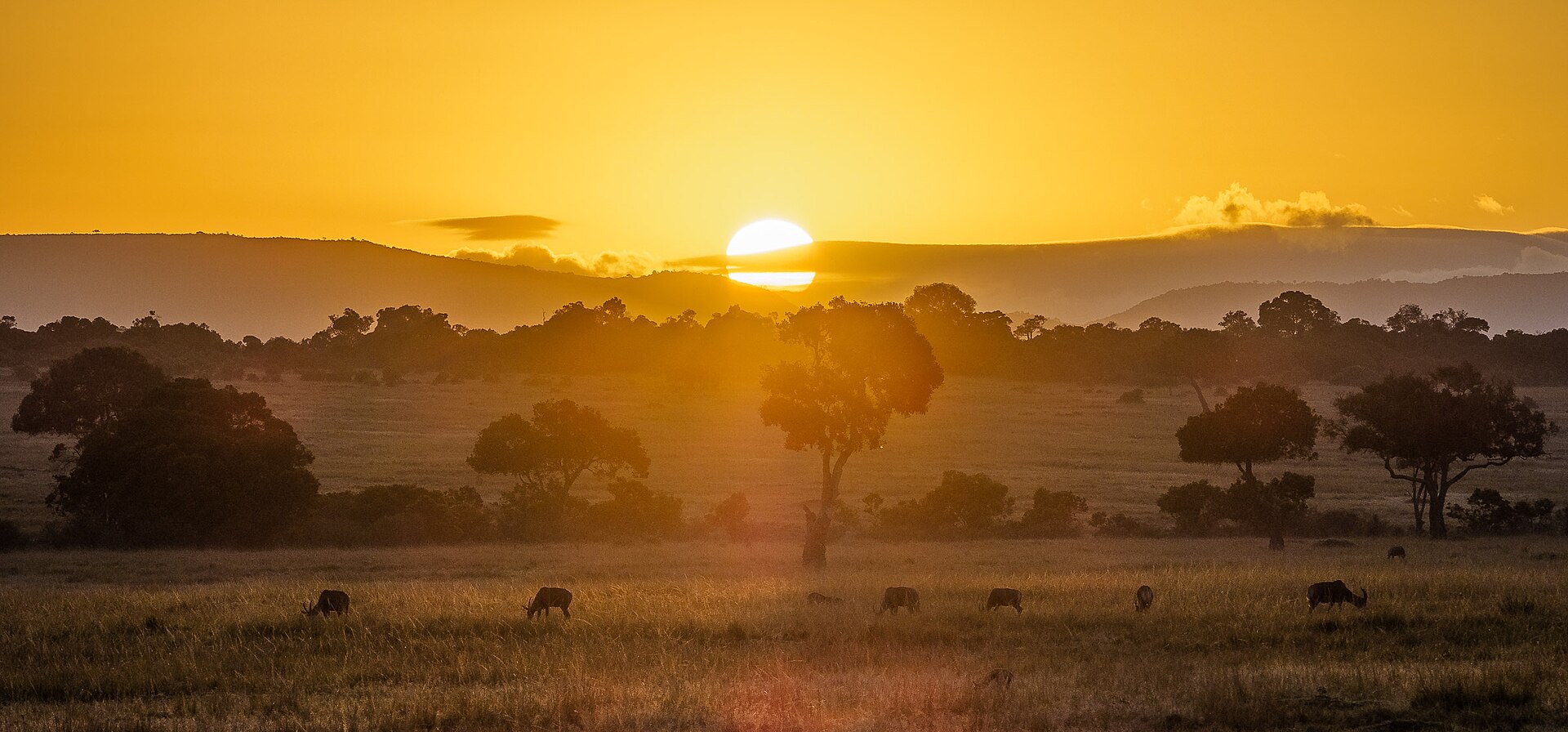 Into The Mara Through Sekenani Gate