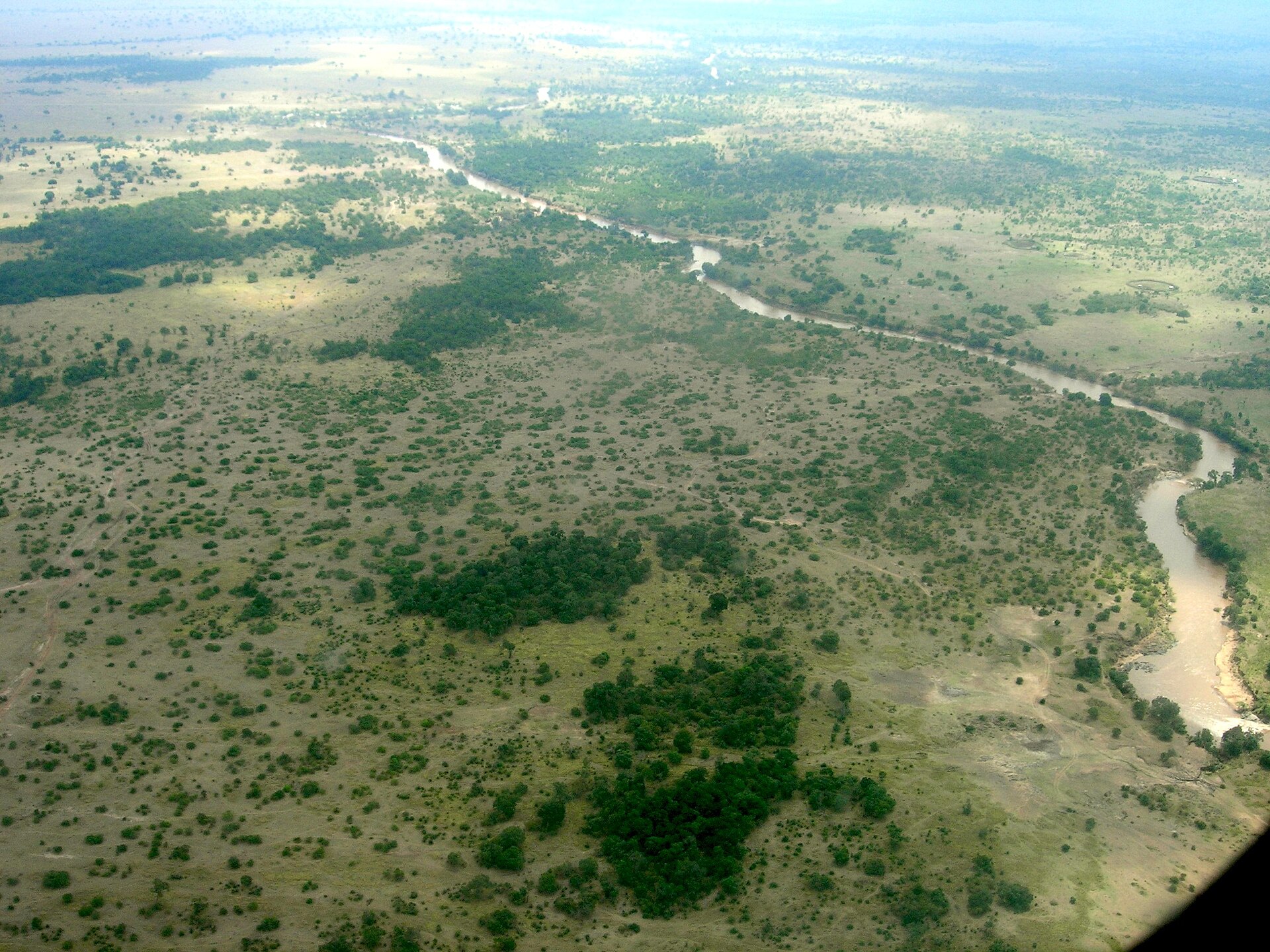 Full-Day Game Drive To The Mara River