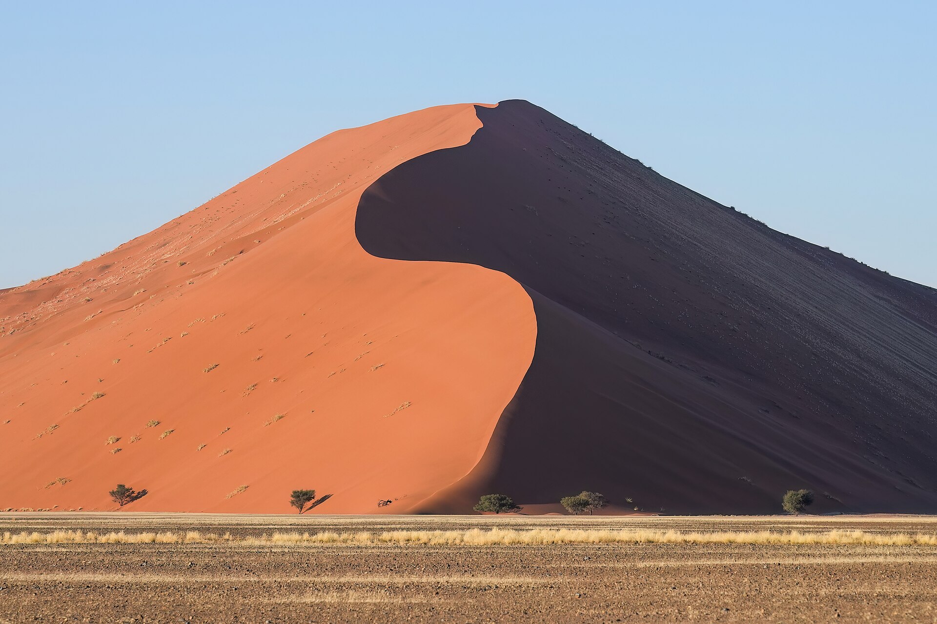 Dunes, Deadvlei And The Sand Sea