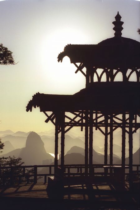 Botanical Gardens & Tijuca Forest