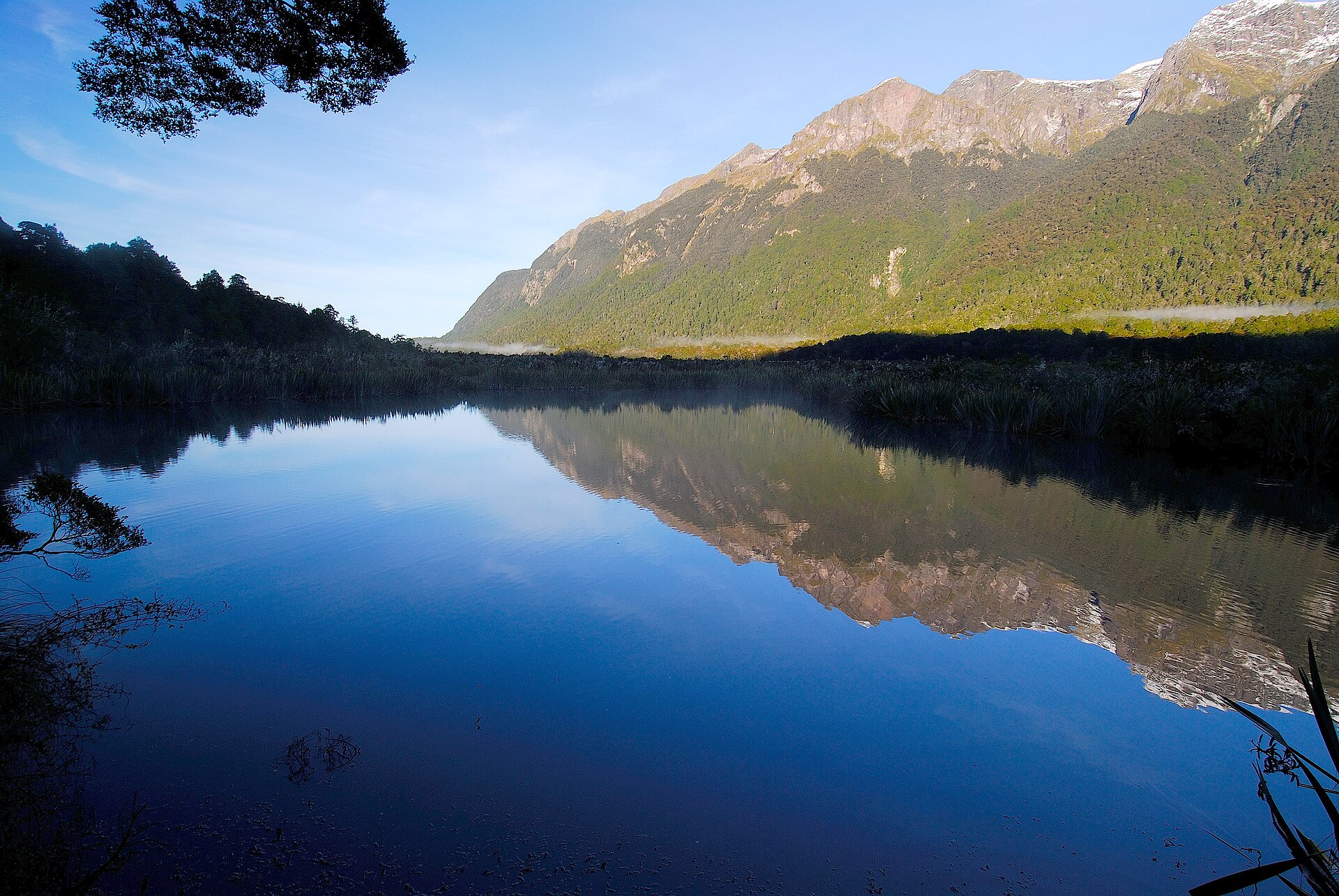 Milford Sound Day Trip