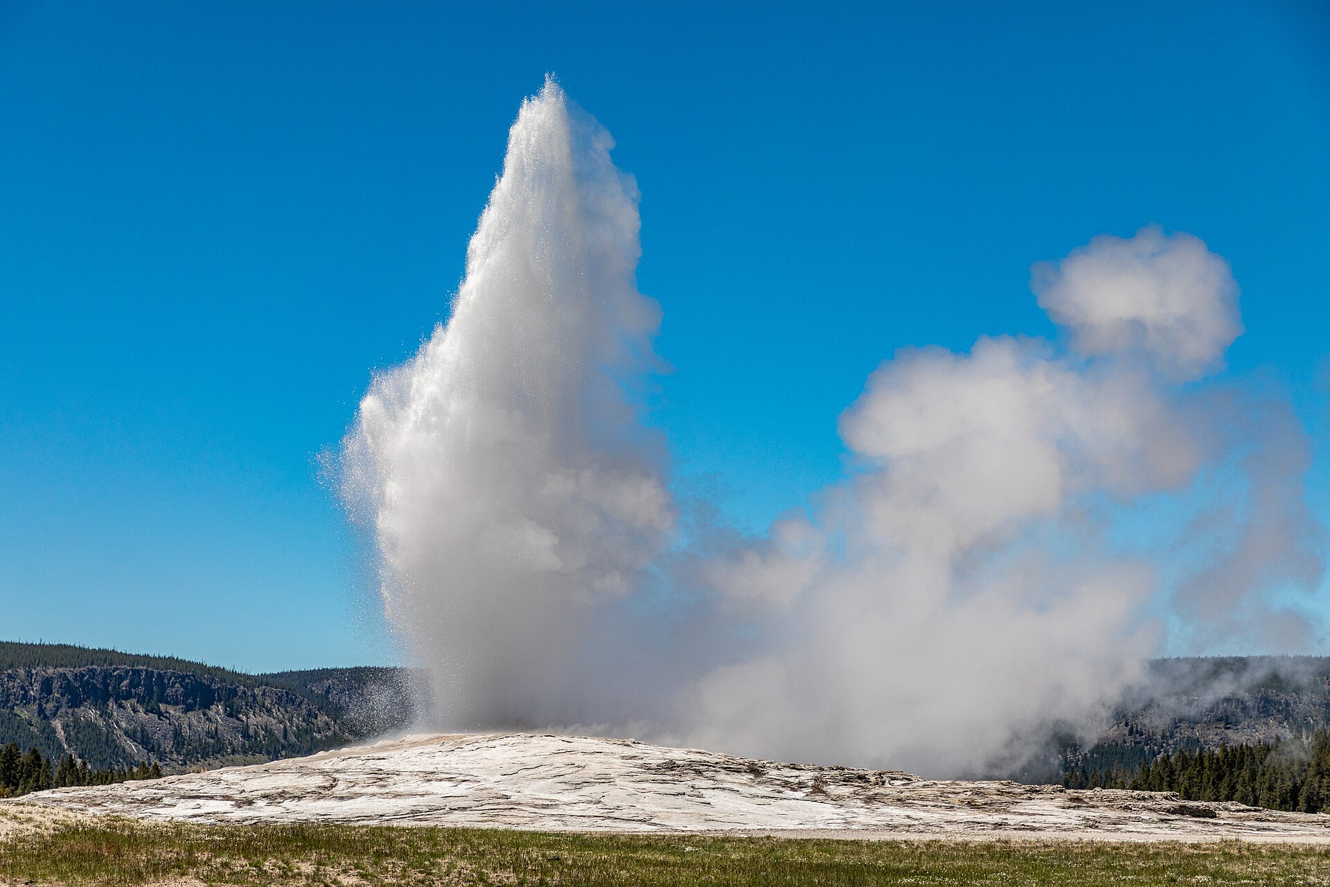Geysers, Forest And Firelit Feast