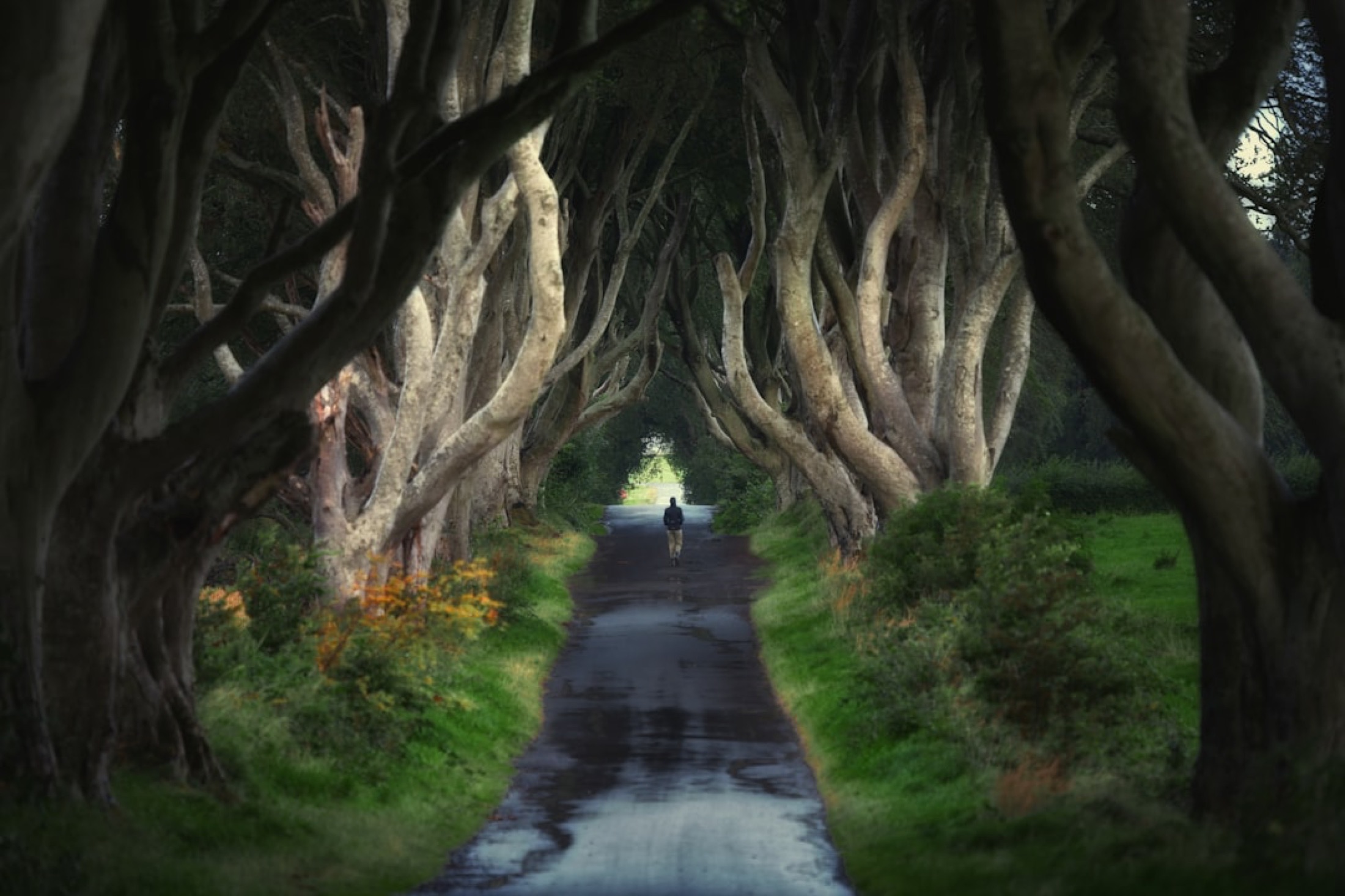 The Kingsroad And The Iron Islands