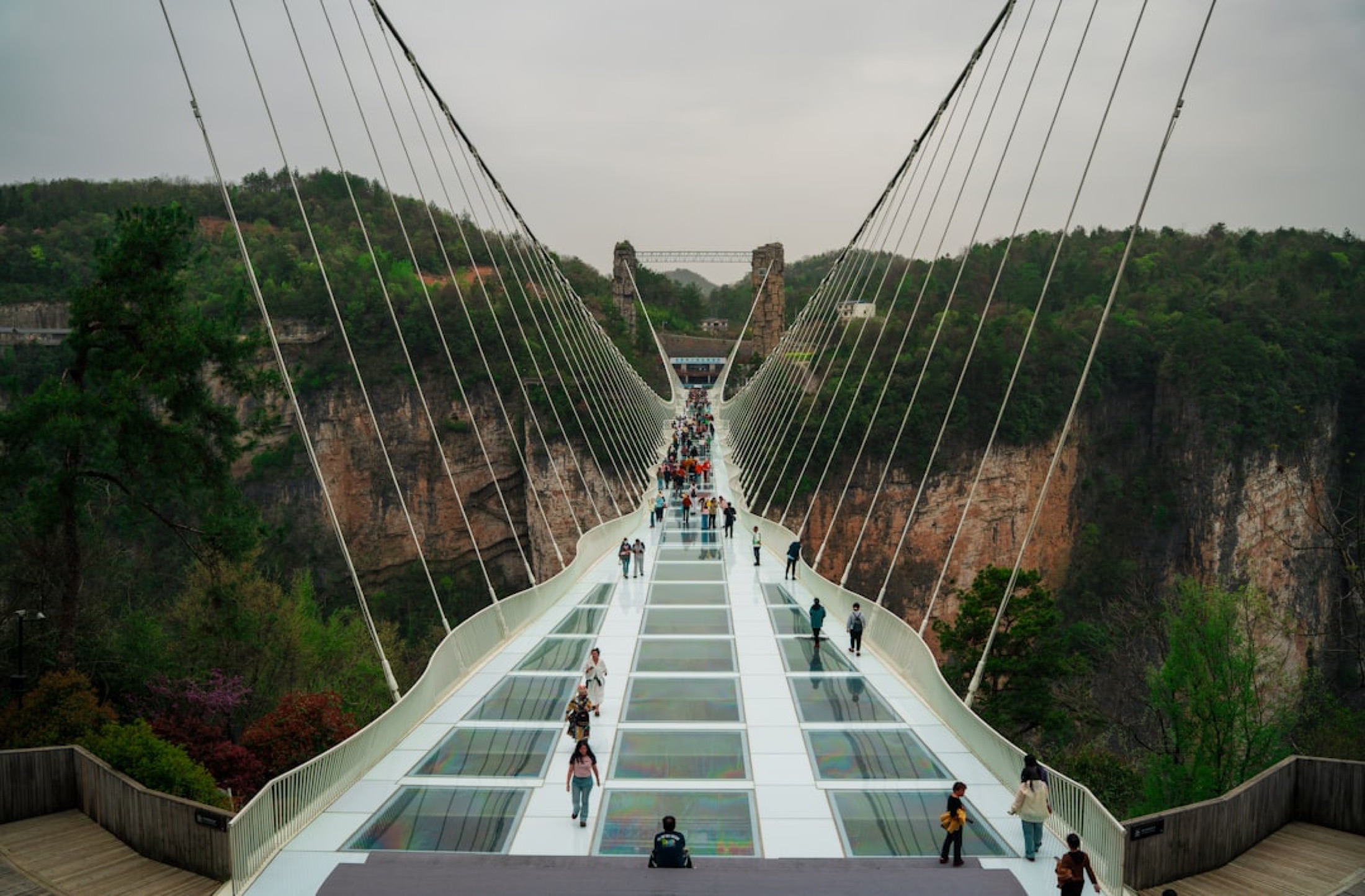 The Grand Canyon And The Glass Bridge