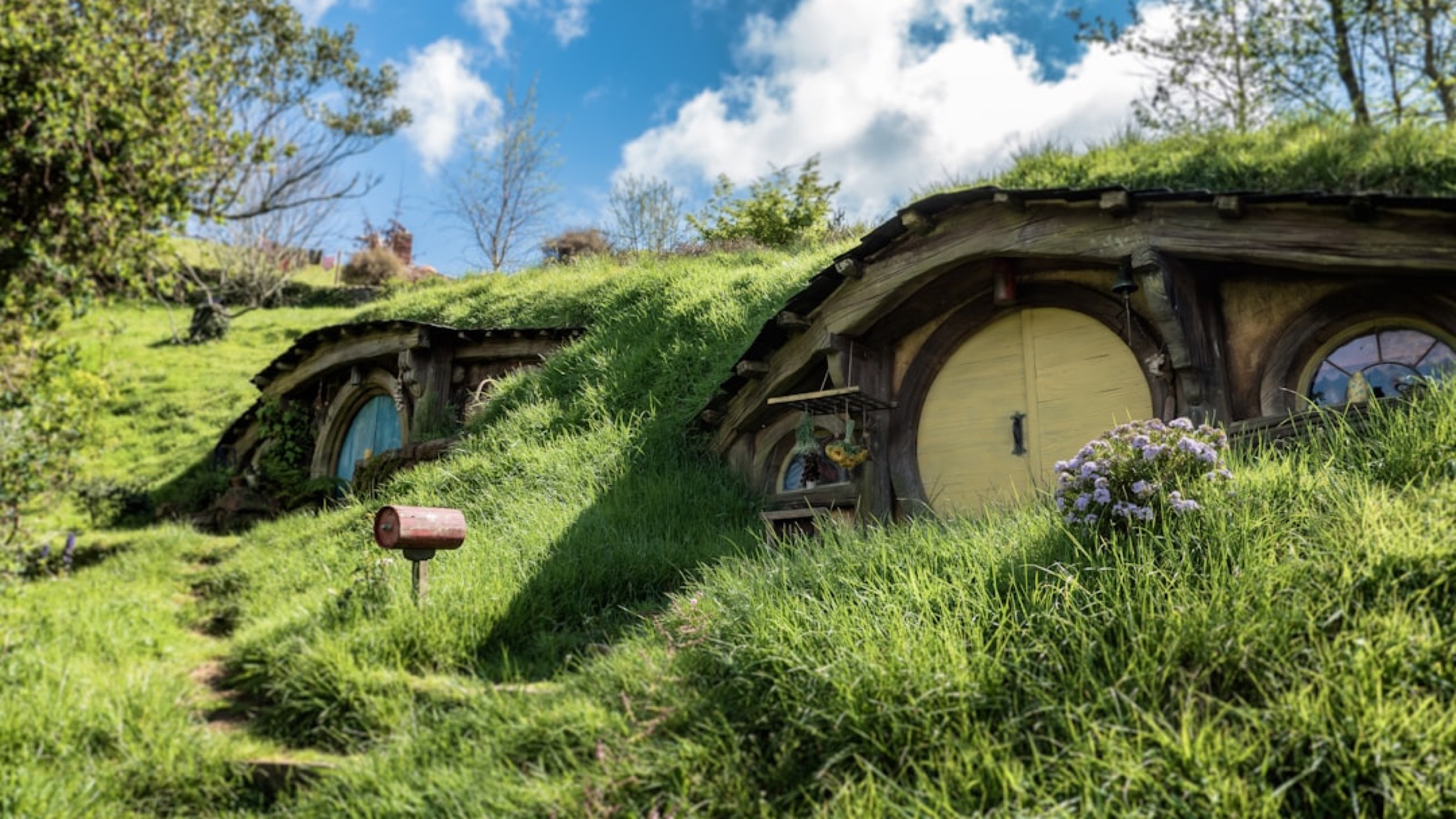 The Shire